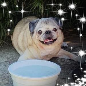 Meet your Posher, Claire